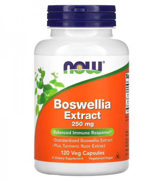 Now Boswellia Extract 250 mg 120 капс