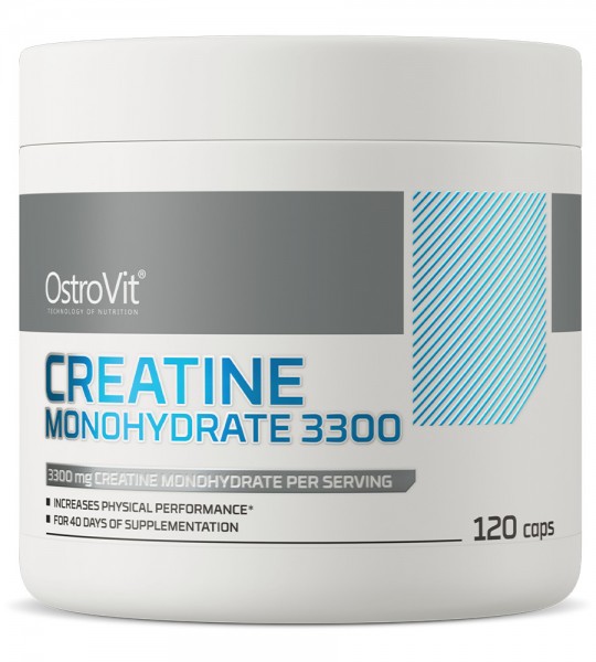 OstroVit Creatine Monohydrate 3300 (120 капс)