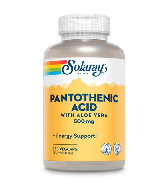 Solaray Pantothenic Acid 500 mg Veg Caps (250 капс)