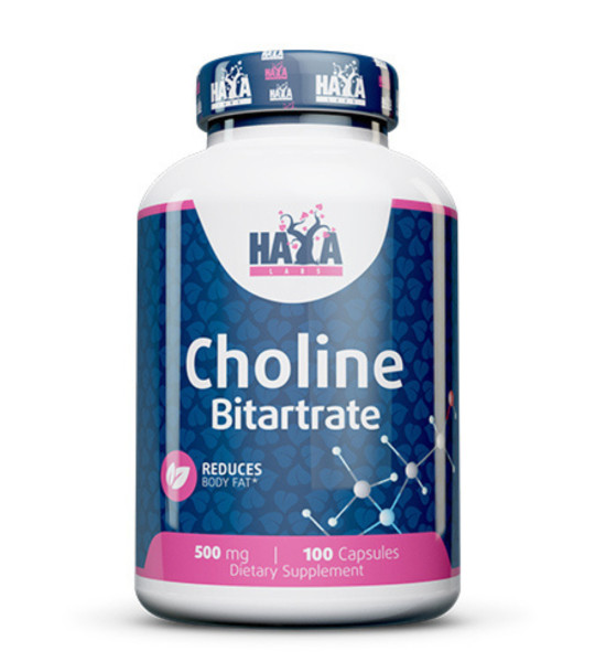 HaYa Labs Choline Bitartrate 500 mg (100 капс)
