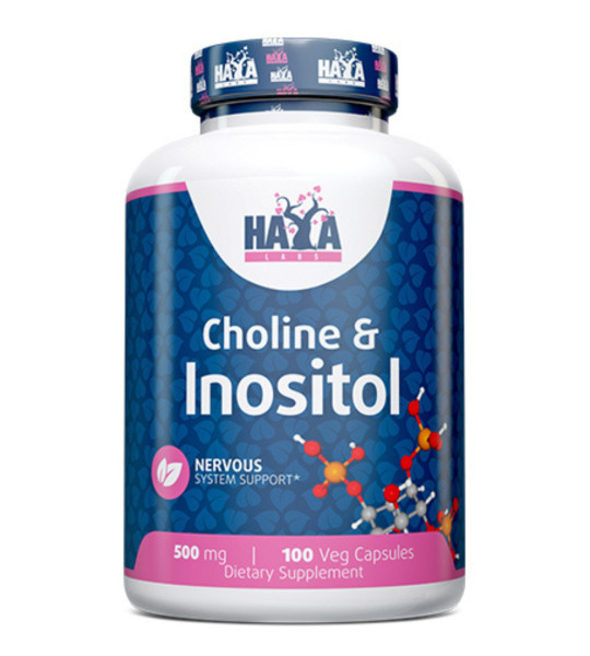 HaYa Labs Choline & Inositol 500 mg Veg Caps (100 капс)