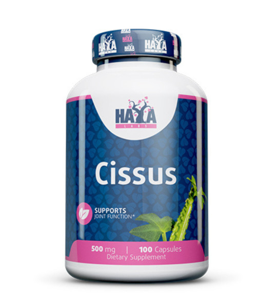 HaYa Labs Cissus 500 mg (100 капс)