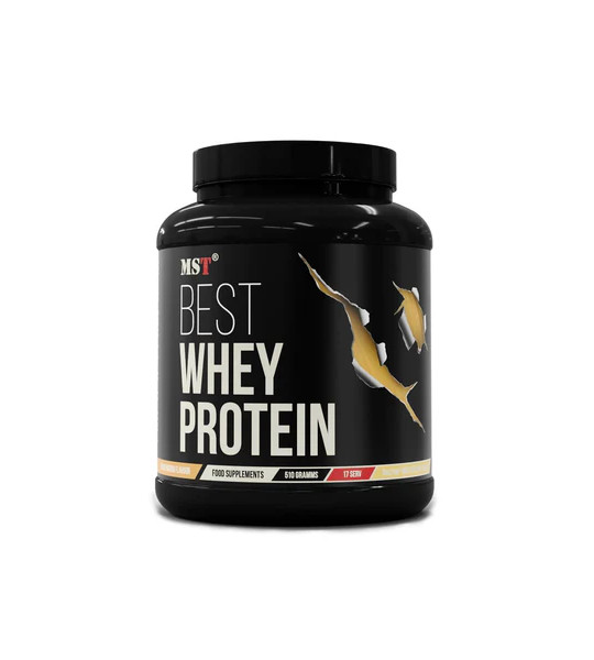 MST Best Whey Protein (510 грам)